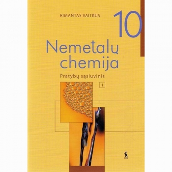 Nemetalų chemija. Pratybų sąsiuvinis 10 klasė 1 dalis