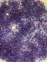 Biseris 20g, 2mm, tamsiai violetinis blizgus (304)